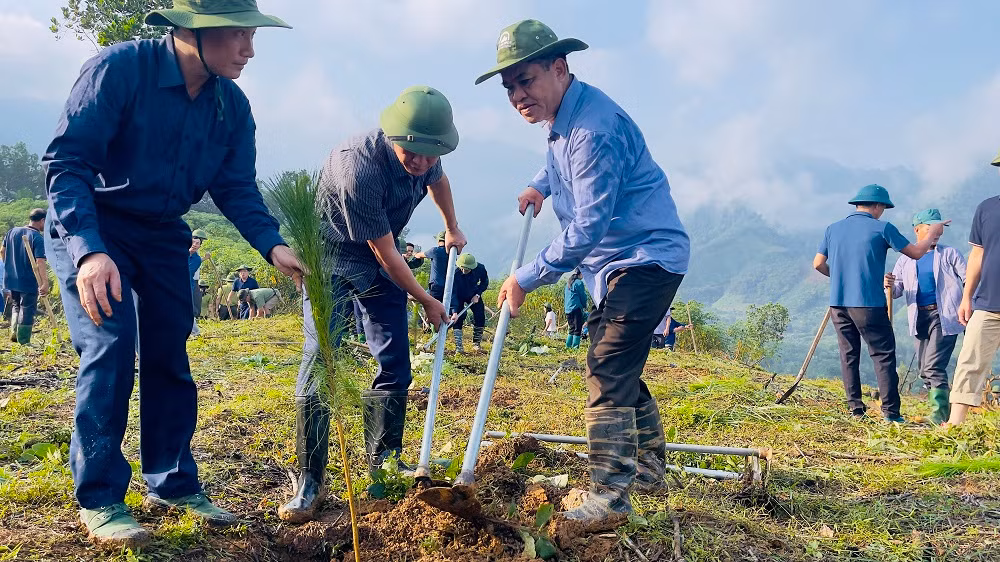 Lãnh đạo tỉnh Yên Bái và huyện Trấn Yên tham gia trồng cây. (Ảnh: THANH SƠN)