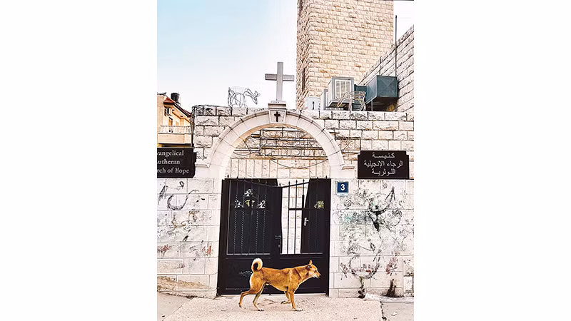 Góc phố yên bình ở Ramallah.