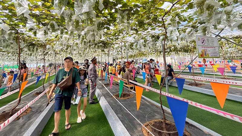 Khá đông du khách đến tham quan tại Suối Tiên Farm trong ngày mùng 3 Tết.
