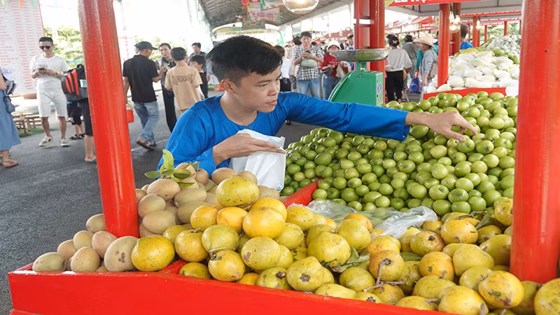 Lễ hội giới thiệu nhiều loại trái cây đến từ các vùng miền. Lễ hội giới thiệu nhiều loại trái cây đến từ các vùng miền.