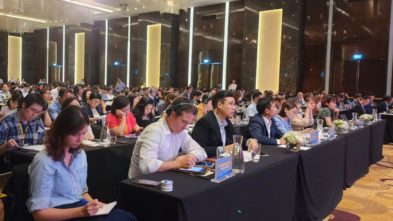 Các đại biểu tham dự hội nghị.