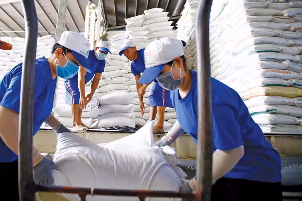 Xuất khẩu gạo đón tin vui Xuất khẩu gạo đón tin vui