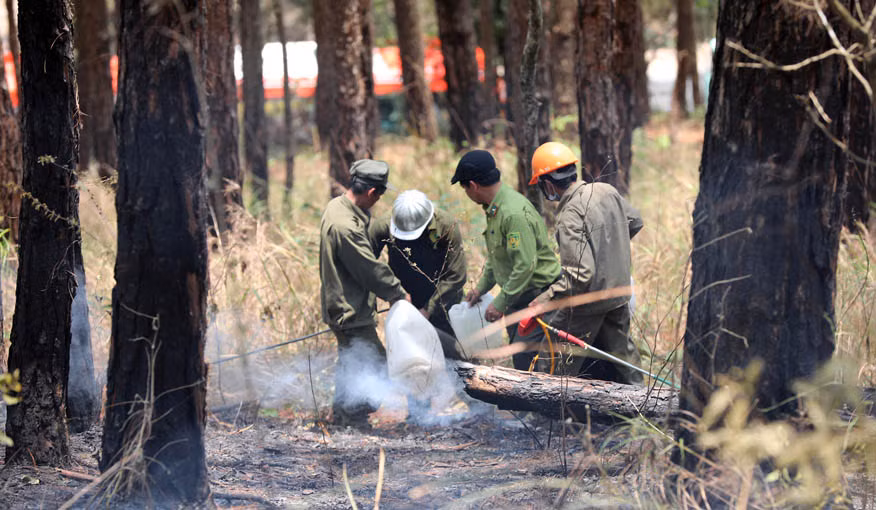 Do địa hình nơi xảy ra cháy khá phức tạp, lực lượng chữa cháy phải đưa từng can nước lên đỉnh đồi để dập lửa. Do địa hình nơi xảy ra cháy khá phức tạp, lực lượng chữa cháy phải đưa từng can nước lên đỉnh đồi để dập lửa.