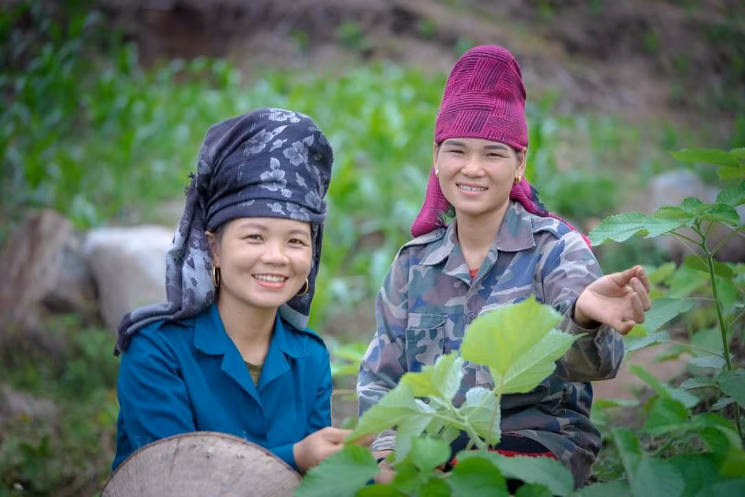 Vùng nguyên liệu trồng gai và nhà máy sợi gai của Công ty Thiên Phước ở huyện Cẩm Thủy (Thanh Hóa) tạo việc làm cho gần 1.000 lao động địa phương.