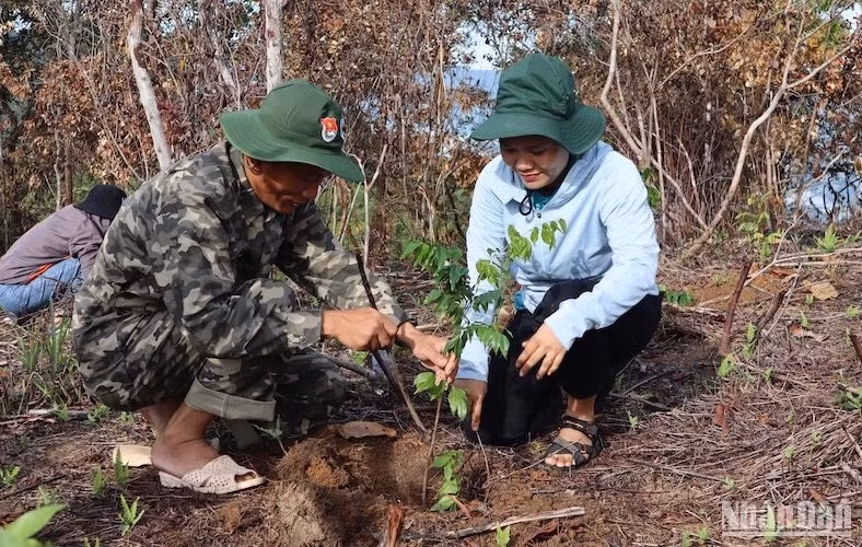 Tháng 3/2022, Minh Long ra khỏi danh sách huyện nghèo.