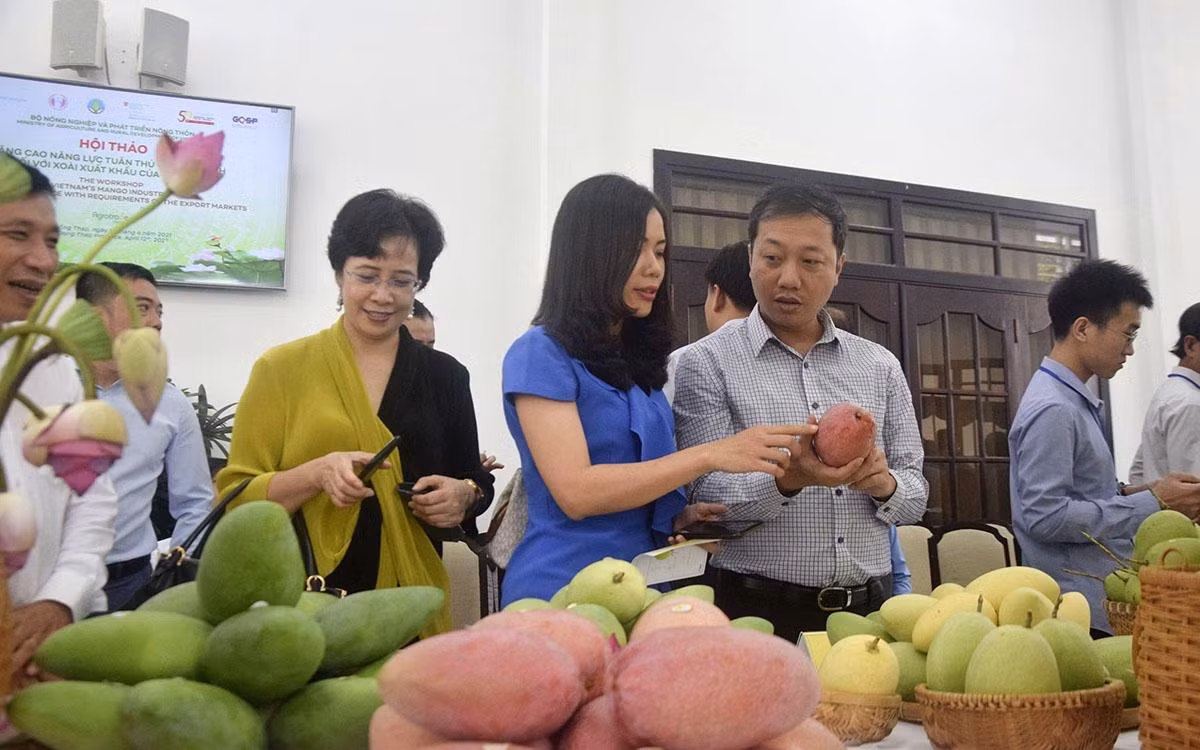 Các sản phẩm trái cây hữu cơ hiện rất thu hút người tiêu dùng các nước khu vực Bắc Âu. (Ảnh HỮU NGHĨA) Các sản phẩm trái cây hữu cơ hiện rất thu hút người tiêu dùng các nước khu vực Bắc Âu. (Ảnh HỮU NGHĨA)