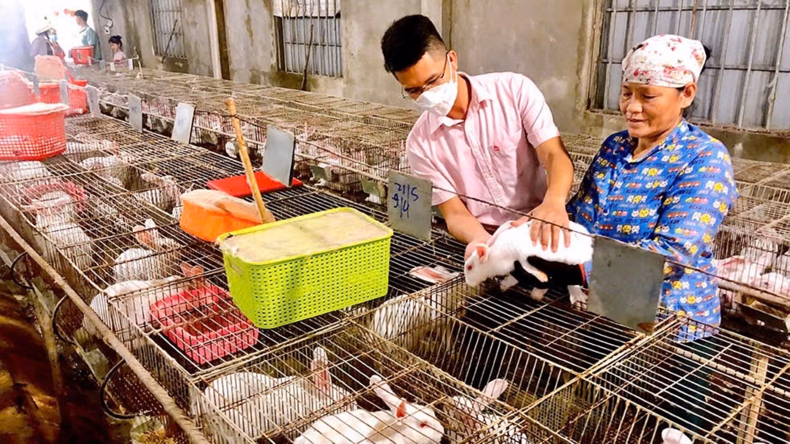 Nhiều hộ gia đình mạnh dạn vay vốn chính sách để phát triển sản xuất, vươn lên thoát nghèo bền vững. Nhiều hộ gia đình mạnh dạn vay vốn chính sách để phát triển sản xuất, vươn lên thoát nghèo bền vững.