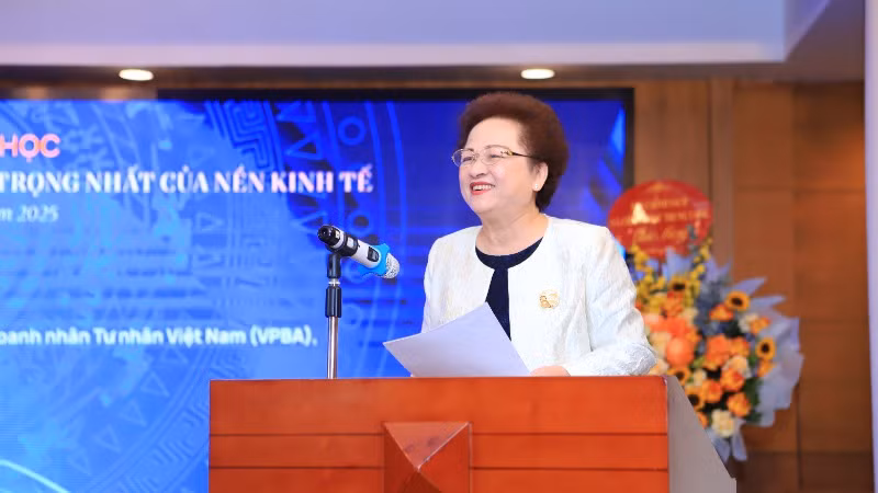 Bà Nguyễn Thị Nga, Phó Chủ tịch thường trực Hội Doanh nhân tư nhân Việt Nam, Chủ tịch Tập đoàn BRG, tham luận tại hội thảo.
