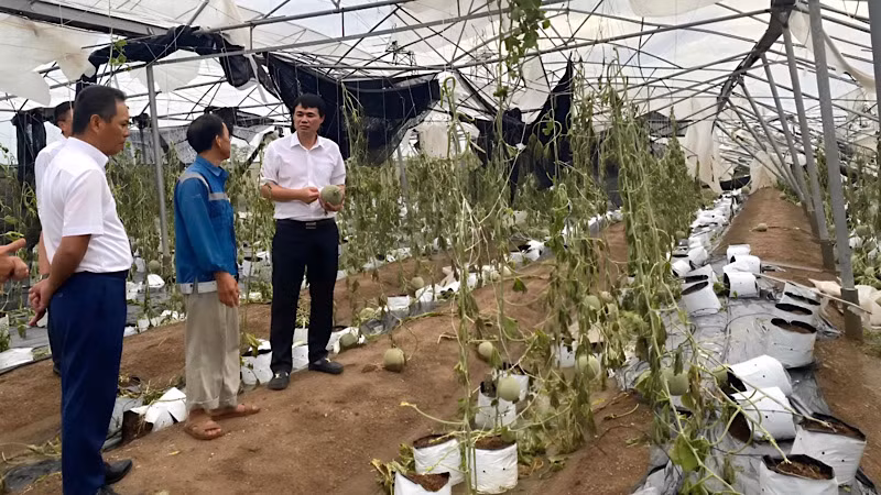 Đánh giá tình hình thiệt hại của khách hàng vay vốn để kịp thời có chính sách hỗ trợ. Đánh giá tình hình thiệt hại của khách hàng vay vốn để kịp thời có chính sách hỗ trợ.