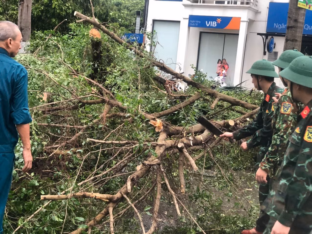 Tại phường Phúc La, quận Hà Đông, ngay từ lúc 4 rưỡi sáng 8/9 sau khi bão đi qua, phường đã huy động 100% quân số, gồm toàn bộ cán bộ công chức, lực lượng an ninh cơ sở, công an phường, dân quân tự vệ. Cùng tham gia có các cán bộ, chiến sĩ, học viên của Học viện Quân y.