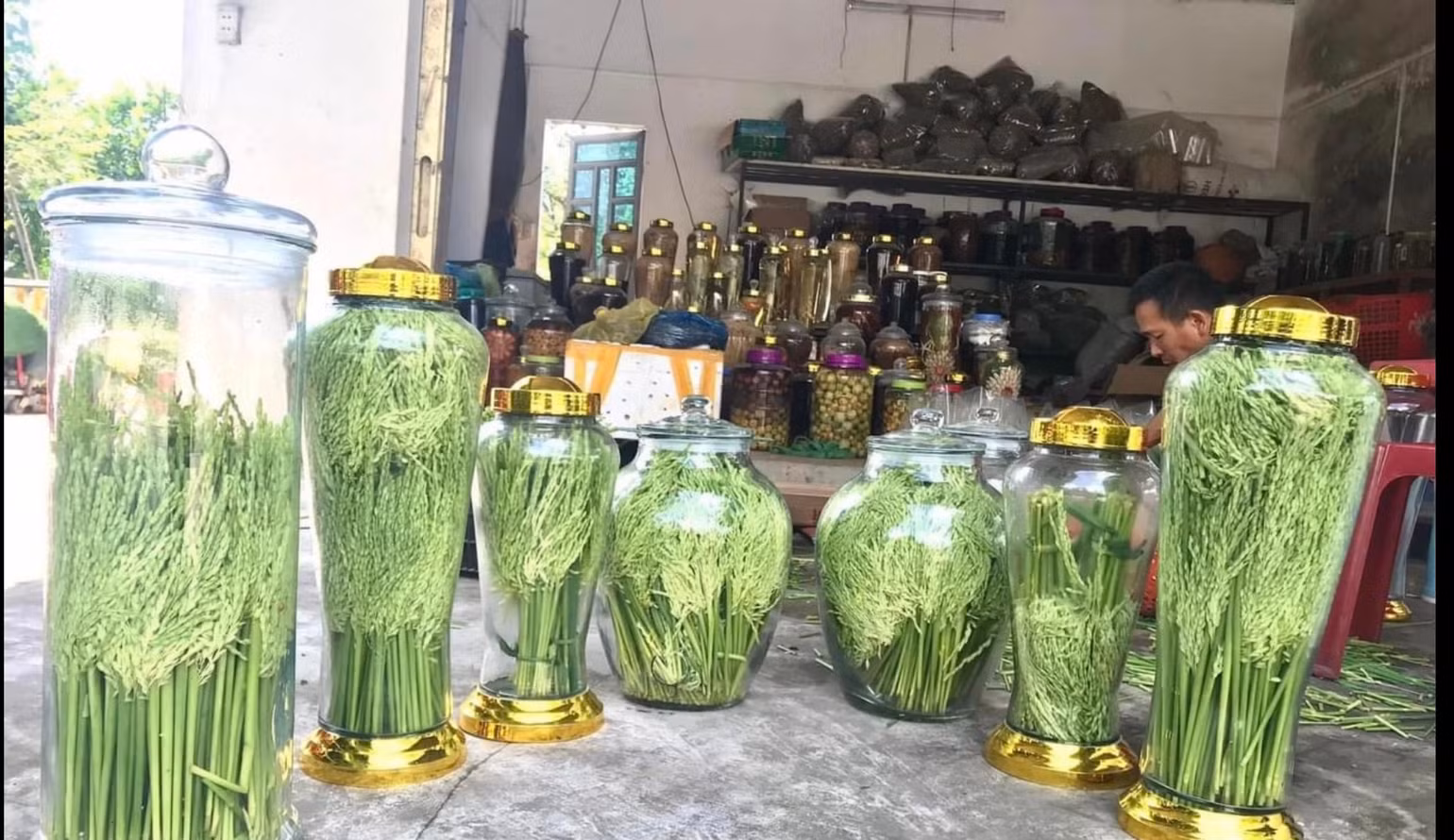 Rượu không được kiểm định chất lượng có thể thấy được rao bán ở mọi nơi. Rượu không được kiểm định chất lượng có thể thấy được rao bán ở mọi nơi.