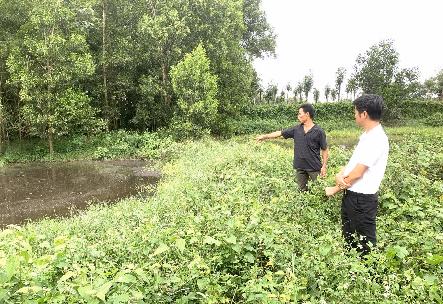 Người dân địa phương bức xúc vì nguồn nước thải của Trang trại chăn nuôi lợn nái sinh sản tại thôn Tân Lợi 1, xã Ea Uy, huyện Krông Pắc gây ô nhiễm môi trường. Người dân địa phương bức xúc vì nguồn nước thải của Trang trại chăn nuôi lợn nái sinh sản tại thôn Tân Lợi 1, xã Ea Uy, huyện Krông Pắc gây ô nhiễm môi trường.