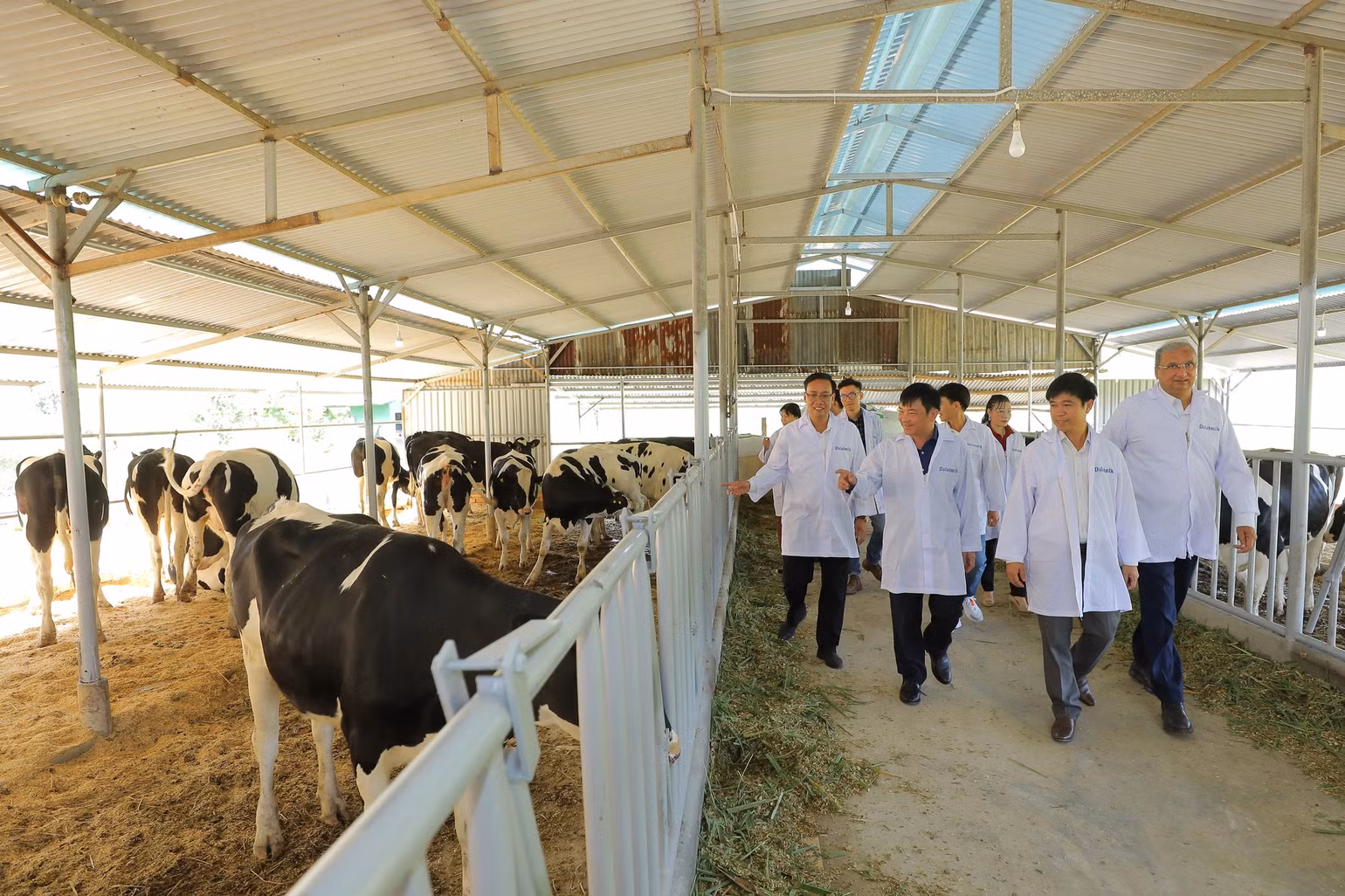 Các đại biểu thăm quan mô hình chăn nuôi bò sữa quy mô trang trại đầu tiên tại Cát Tiên do Tập đoàn TH hỗ trợ xây dựng, cung cấp con giống
