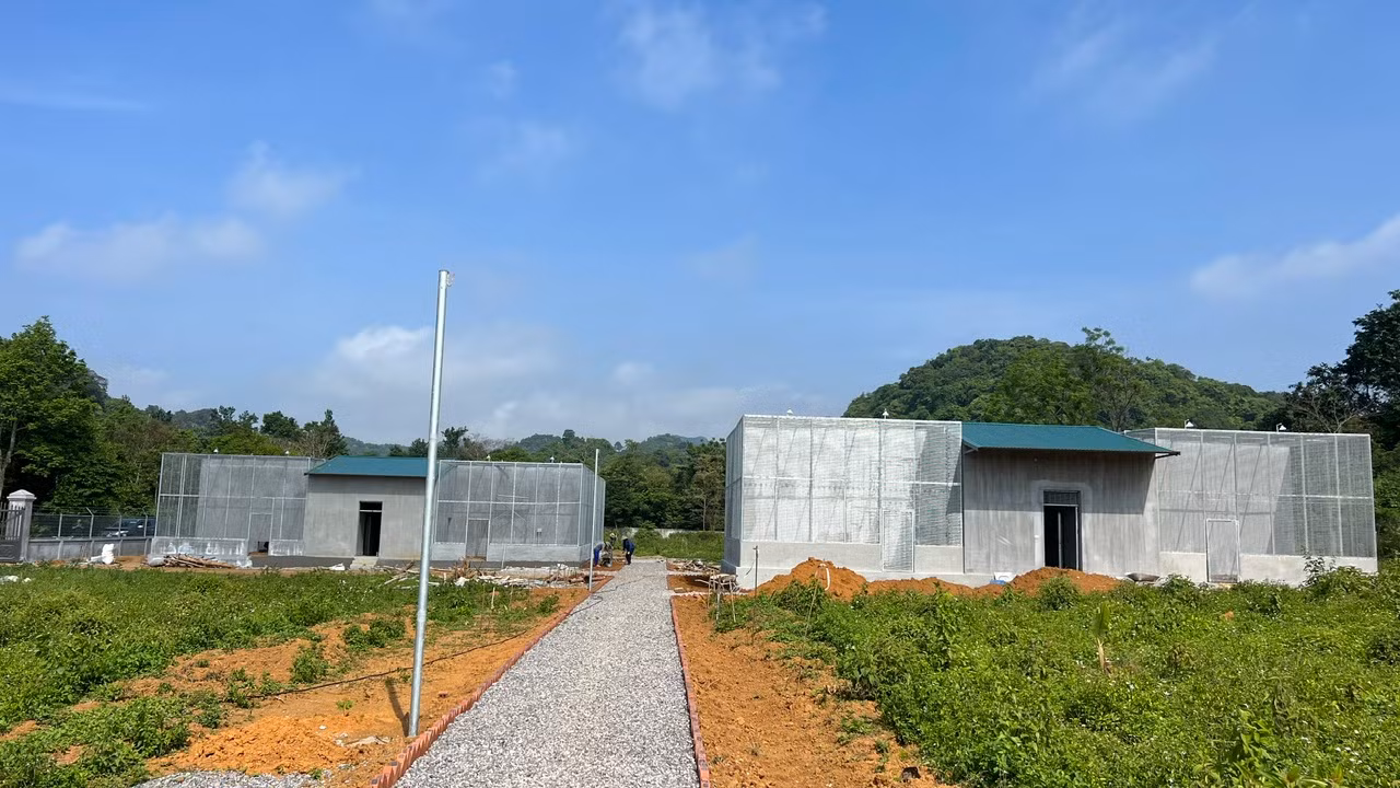 Khu vực bảo tồn cầy vằn sinh sản.