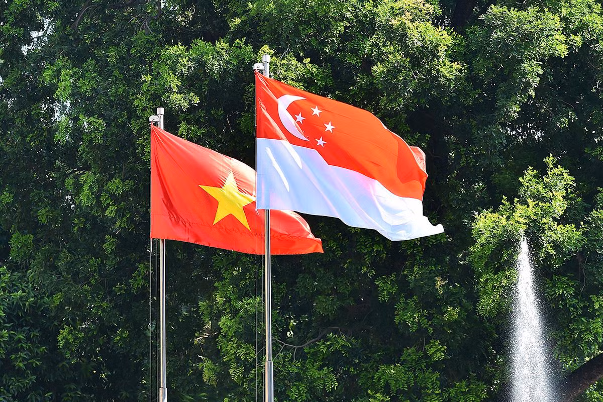 [Ảnh] Chủ tịch nước Nguyễn Xuân Phúc đón, hội đàm với Tổng thống Cộng hòa Singapore Halimah Yacob ảnh 9