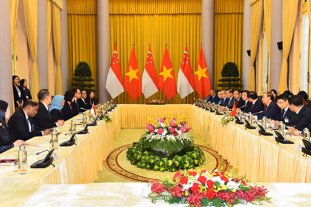 [Ảnh] Chủ tịch nước Nguyễn Xuân Phúc đón, hội đàm với Tổng thống Cộng hòa Singapore Halimah Yacob ảnh 5