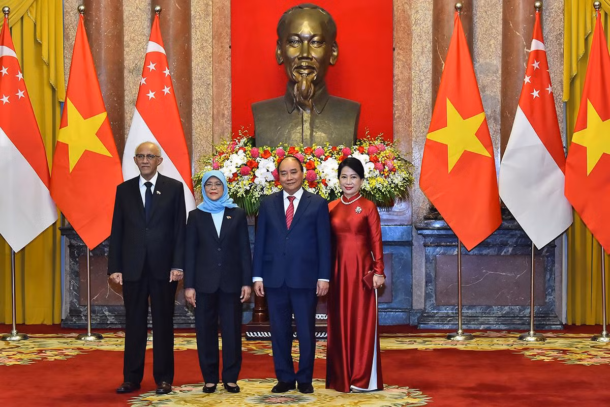 [Ảnh] Chủ tịch nước Nguyễn Xuân Phúc đón, hội đàm với Tổng thống Cộng hòa Singapore Halimah Yacob ảnh 3
