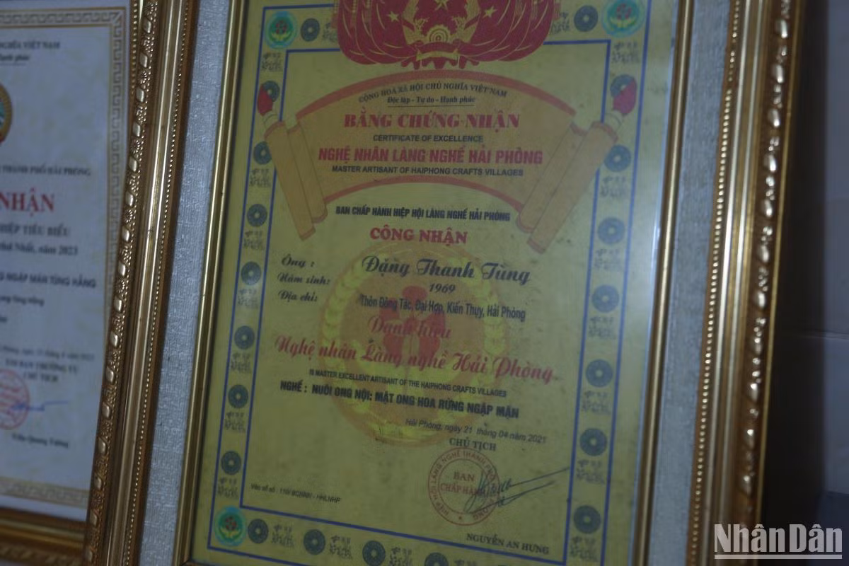 Ông Đặng Thanh Tùng được nhận Bằng chứng nhận nghệ nhân làng nghề Hải Phòng năm 2021. Ông Đặng Thanh Tùng được nhận Bằng chứng nhận nghệ nhân làng nghề Hải Phòng năm 2021.