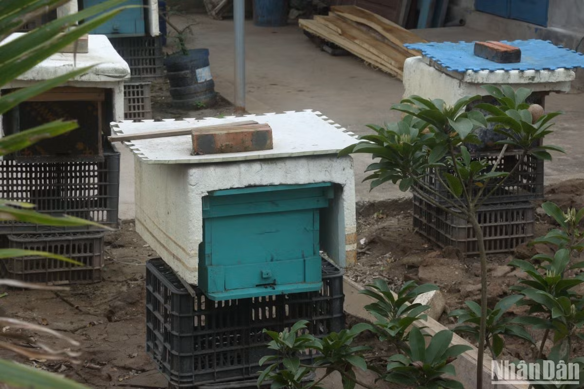 Sản phẩm Mật ong hoa rừng ngập mặn của hợp tác xã Tùng Hằng được đánh giá sản phẩm OCOP 4 sao, được coi là đặc sản nhờ chất lượng thơm ngon và giá trị dinh dưỡng cao. Sản phẩm Mật ong hoa rừng ngập mặn của hợp tác xã Tùng Hằng được đánh giá sản phẩm OCOP 4 sao, được coi là đặc sản nhờ chất lượng thơm ngon và giá trị dinh dưỡng cao.