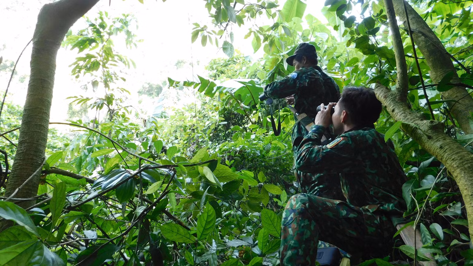 Cũng như nhiều quốc gia khác, Việt Nam hiện đang đứng trước không ít thách thức khi bảo tồn đa dạng sinh học có liên quan mật thiết tới phát triển kinh tế và ổn định xã hội.