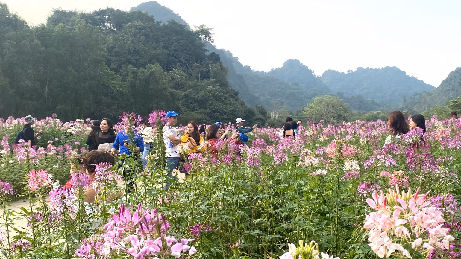 Đông đảo du khách tới tham quan khu du lịch Vườn chim Thung Nham, Ninh Bình. (Ảnh: Lê Hồng) Đông đảo du khách tới tham quan khu du lịch Vườn chim Thung Nham, Ninh Bình. (Ảnh: Lê Hồng)