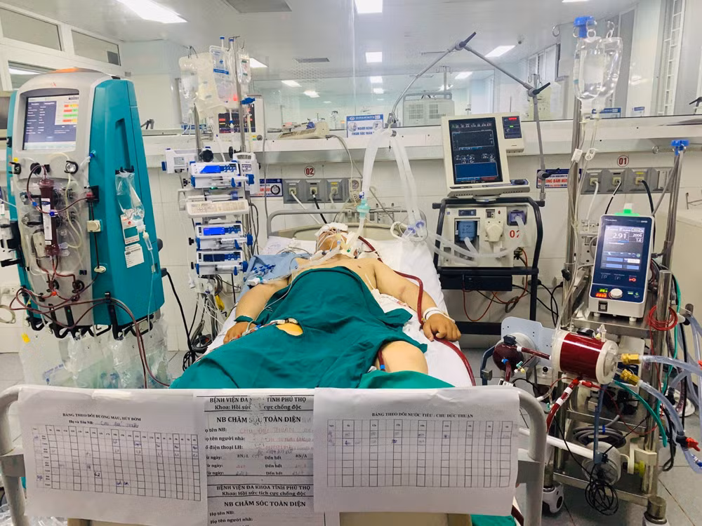 Nhiều kỹ thuật cao đã được triển khai áp dụng trong công tác khám chữa bệnh (ECMO, lọc máu liên tục...) tại Bệnh viện đa khoa tỉnh Phú Thọ. Nhiều kỹ thuật cao đã được triển khai áp dụng trong công tác khám chữa bệnh (ECMO, lọc máu liên tục...) tại Bệnh viện đa khoa tỉnh Phú Thọ.