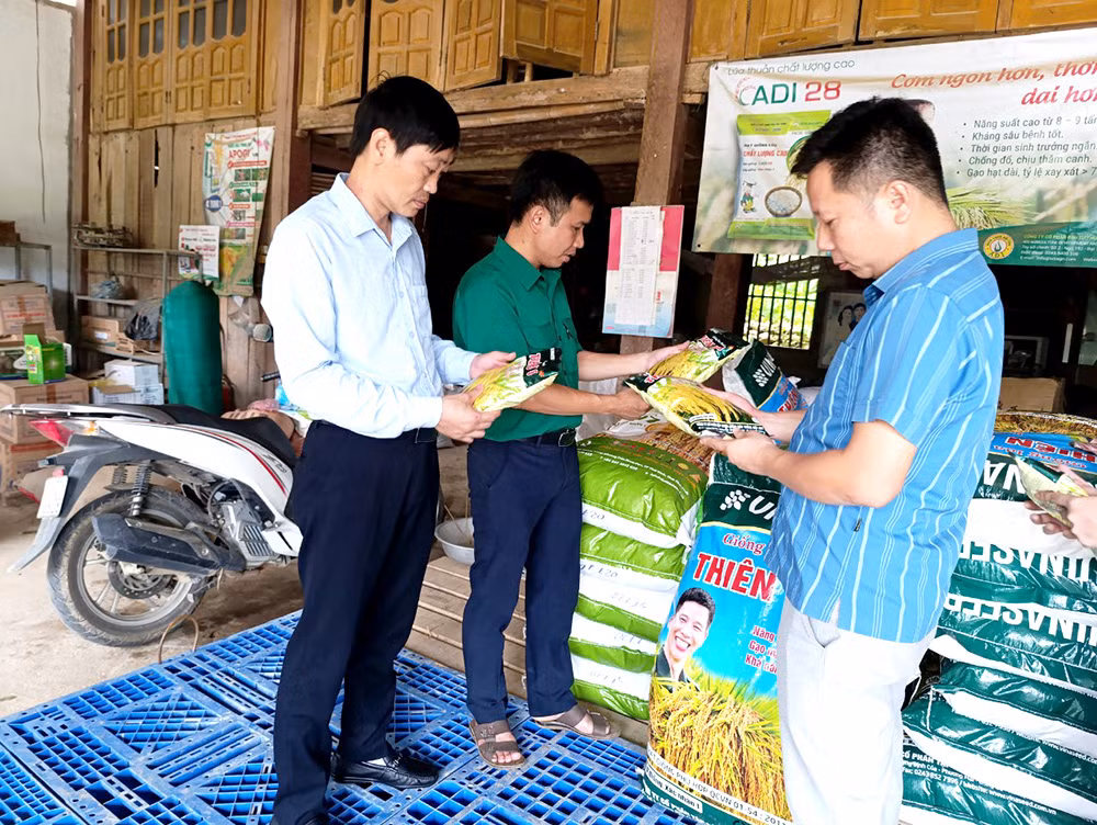 Đoàn kiểm tra của huyện Tân Sơn kiểm tra đại lý cung ứng giống, vật tư nông nghiệp tại xã Kiệt Sơn.