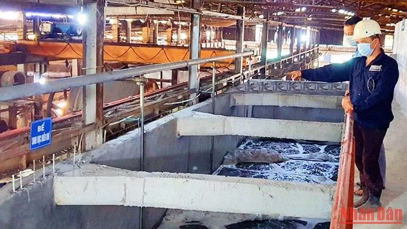 Hệ thống xử lý nước thải tuần hoàn tại một cơ sở sản xuất giấy ở cụm công nghiệp Phú Lâm, huyện Tiên Du (Bắc Ninh). Hệ thống xử lý nước thải tuần hoàn tại một cơ sở sản xuất giấy ở cụm công nghiệp Phú Lâm, huyện Tiên Du (Bắc Ninh).