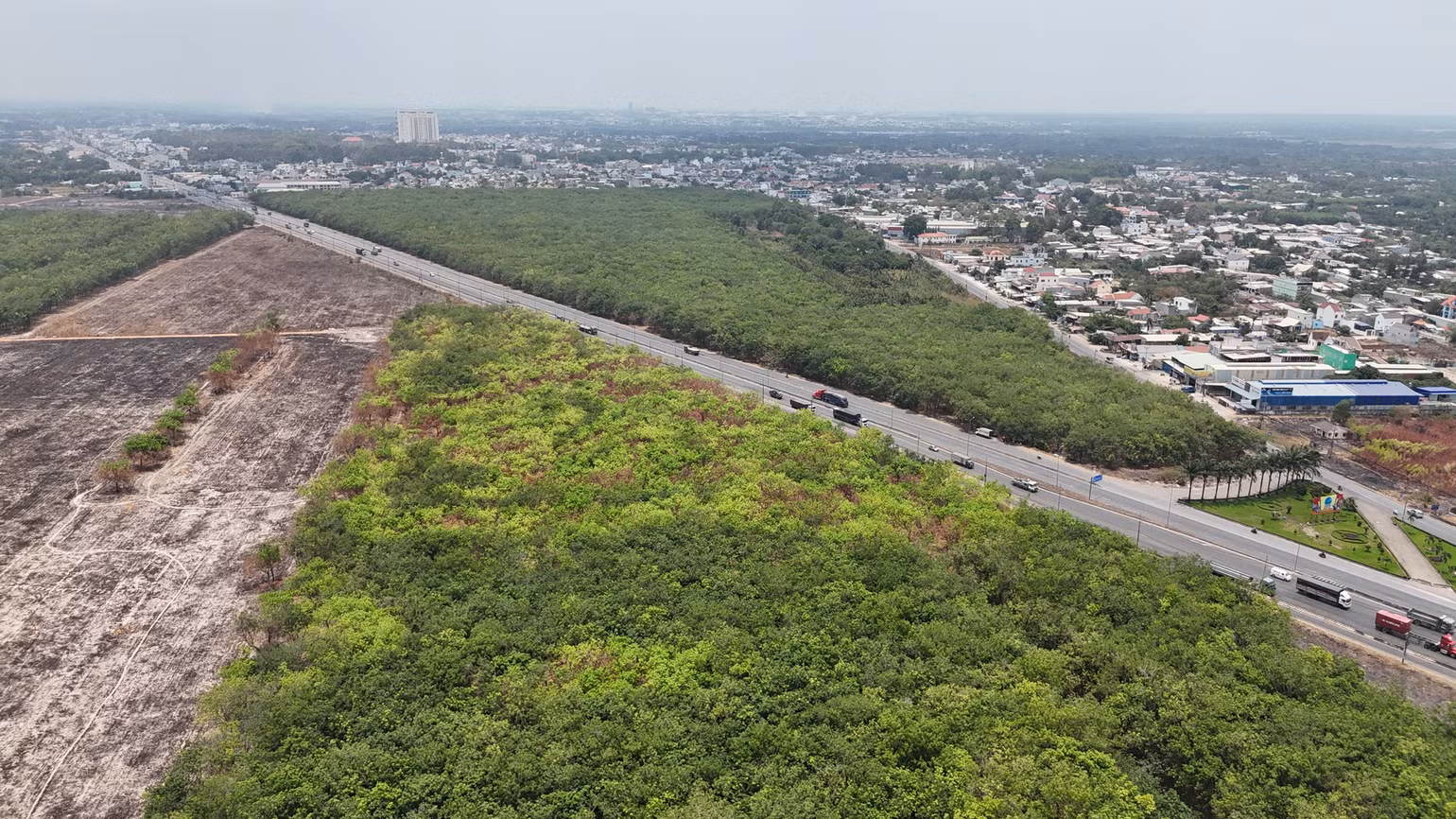 Trong phát triển đô thị Đồng Nai cần phát triển diện tích cây xanh. Trong phát triển đô thị Đồng Nai cần phát triển diện tích cây xanh.