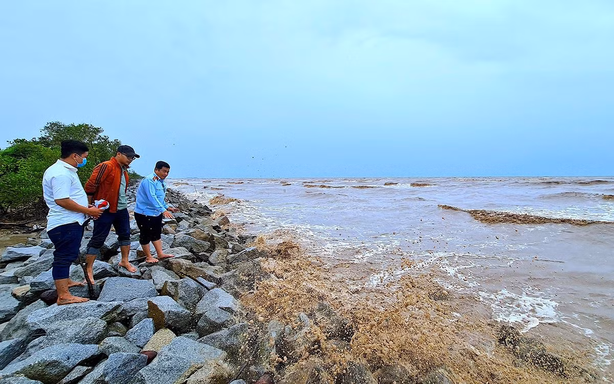 Mô hình kè đá khan bảo vệ đai rừng phòng hộ khu vực T29 (huyện U Minh) trước sóng dữ. Mô hình kè đá khan bảo vệ đai rừng phòng hộ khu vực T29 (huyện U Minh) trước sóng dữ.