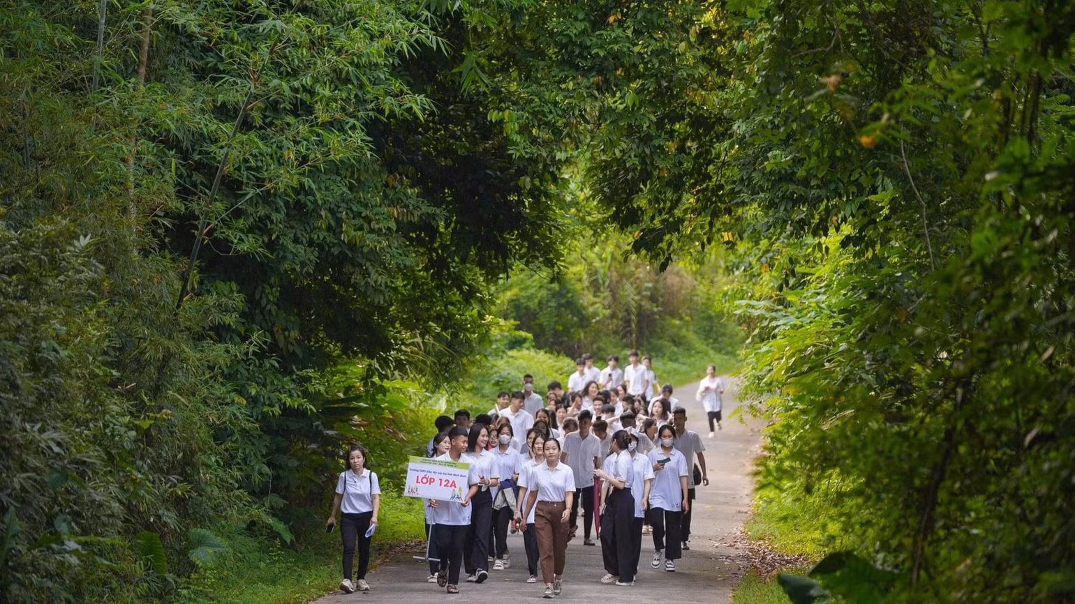 Cúc Phương là địa chỉ "xanh" để lớp lớp thế hệ học sinh, sinh viên, nhà khoa học, du khách trong nước và quốc tế đến nghiên cứu, học tập và thưởng ngoạn thiên nhiên. Cúc Phương là địa chỉ "xanh" để lớp lớp thế hệ học sinh, sinh viên, nhà khoa học, du khách trong nước và quốc tế đến nghiên cứu, học tập và thưởng ngoạn thiên nhiên.