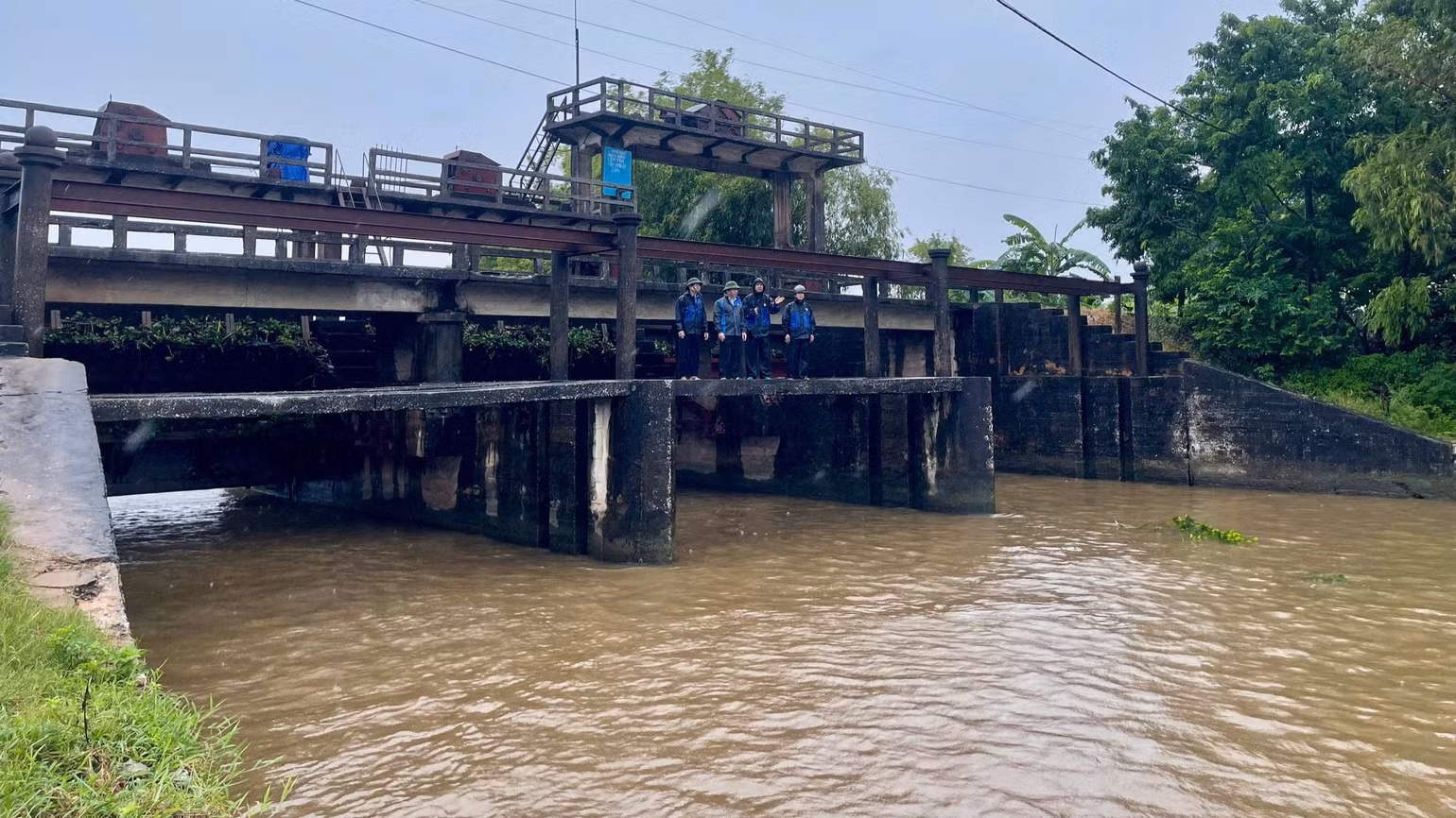 Lãnh đạo Công ty TNHH một thành viên Khai thác công trình thủy lợi tỉnh kiểm tra, chỉ đạo việc tiêu úng cho diện tích lúa mùa, nuôi trồng thủy sản và cây trồng ở huyện Kim Sơn.