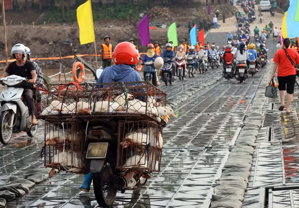 Dòng phương tiện qua cầu sau lệnh thông xe chính thức lúc 6 giờ ngày 30/9. Ảnh: An Đăng-TTXVN Dòng phương tiện qua cầu sau lệnh thông xe chính thức lúc 6 giờ ngày 30/9. Ảnh: An Đăng-TTXVN