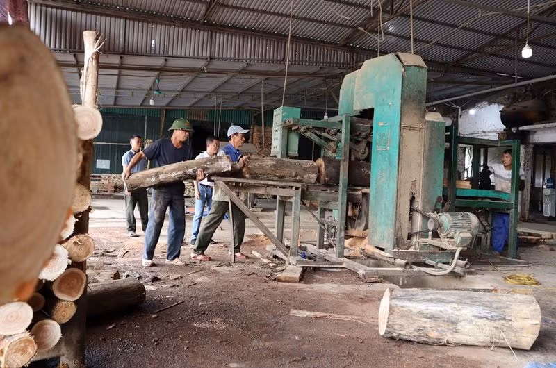 Chế biến sản phẩm từ cây gỗ lớn được trồng, thu mua ở các huyện miền tây Nghệ An tại Xí nghiệp Chế biến nông lâm sản Sông Hiếu. Chế biến sản phẩm từ cây gỗ lớn được trồng, thu mua ở các huyện miền tây Nghệ An tại Xí nghiệp Chế biến nông lâm sản Sông Hiếu.