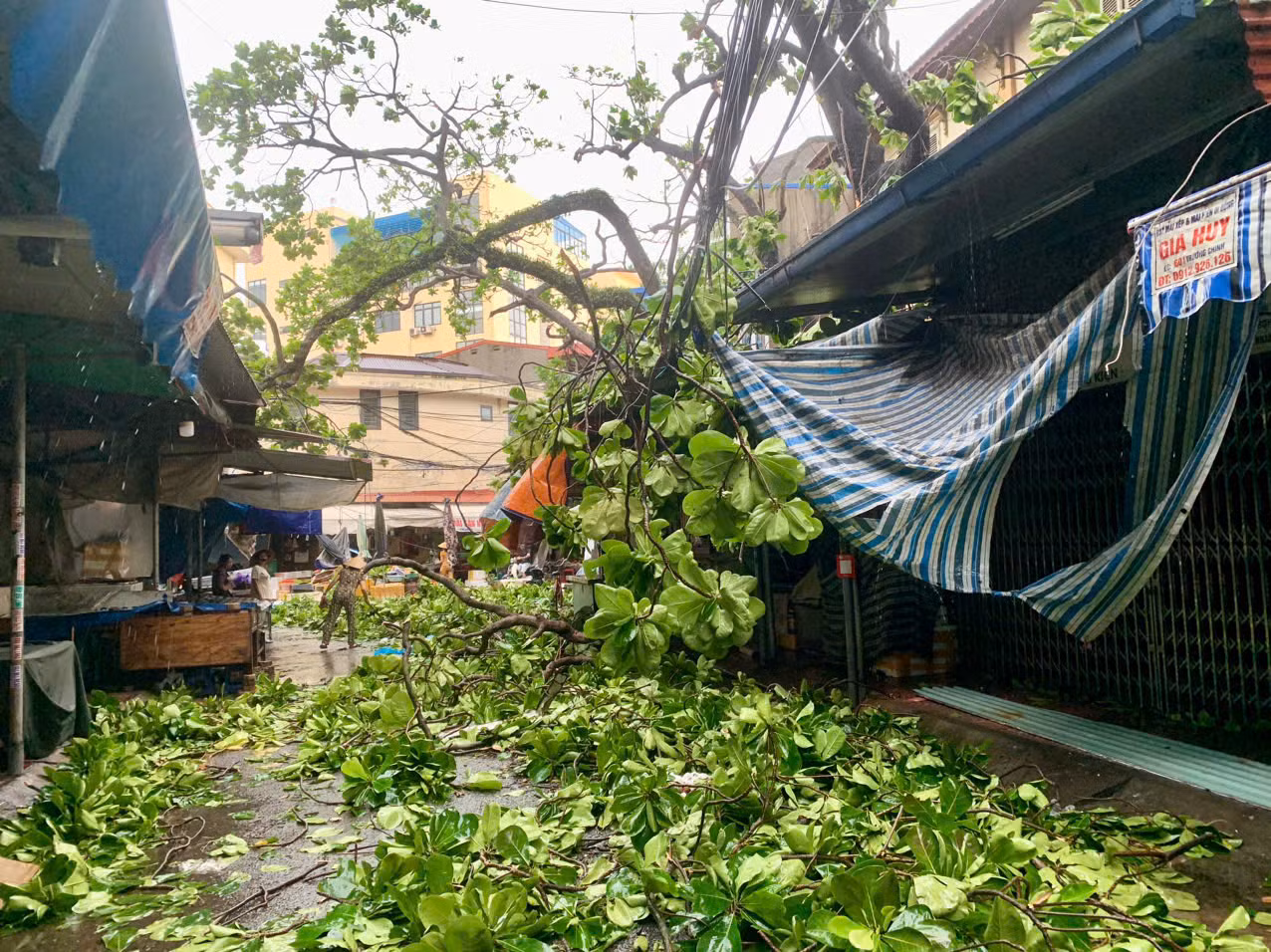 (Ảnh: NGÔ QUANG DŨNG)