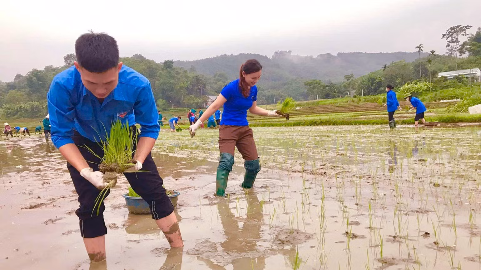Đoàn viên thanh niên huyện Chiêm Hóa tích cực tham gia phát triển kinh tế, là nguồn chủ yếu trong công tác phát triển đảng ở địa phương.