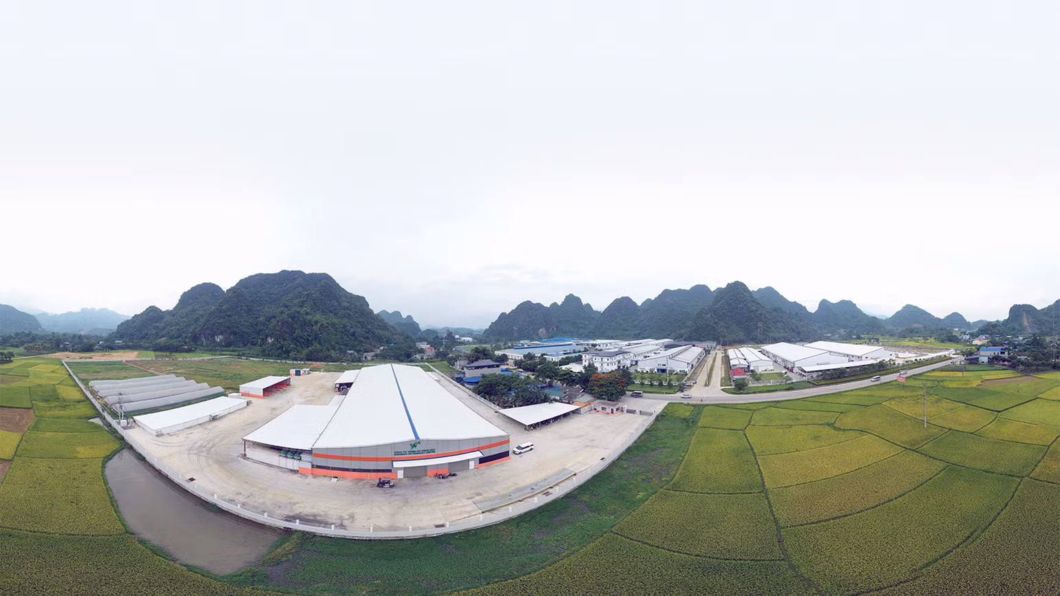 Cụm công nghiệp Phúc Ứng (Sơn Dương) có tỷ lệ lấp đầy 96%.