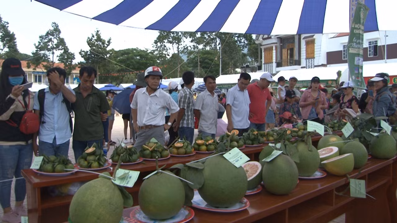 Lễ hội trái cây huyện Khánh Sơn với đa dạng sản phẩm. Lễ hội trái cây huyện Khánh Sơn với đa dạng sản phẩm.