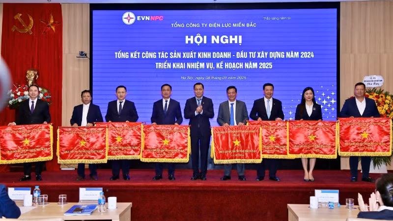 Trước đó, tại lễ tổng kết của Tổng Công ty Điện lực miền Bắc, Công ty TNHH Một thành viên Điện lực Ninh Bình được Tổng công ty trao cờ và giấy khen đạt giải Nhì khối các Công ty Điện lực; các tập thể và các cá nhân là cán bộ công nhân viên trong Công ty TNHH Một thành viên Điện lực Ninh Bình được các cấp khen thưởng. Trước đó, tại lễ tổng kết của Tổng Công ty Điện lực miền Bắc, Công ty TNHH Một thành viên Điện lực Ninh Bình được Tổng công ty trao cờ và giấy khen đạt giải Nhì khối các Công ty Điện lực; các tập thể và các cá nhân là cán bộ công nhân viên trong Công ty TNHH Một thành viên Điện lực Ninh Bình được các cấp khen thưởng.