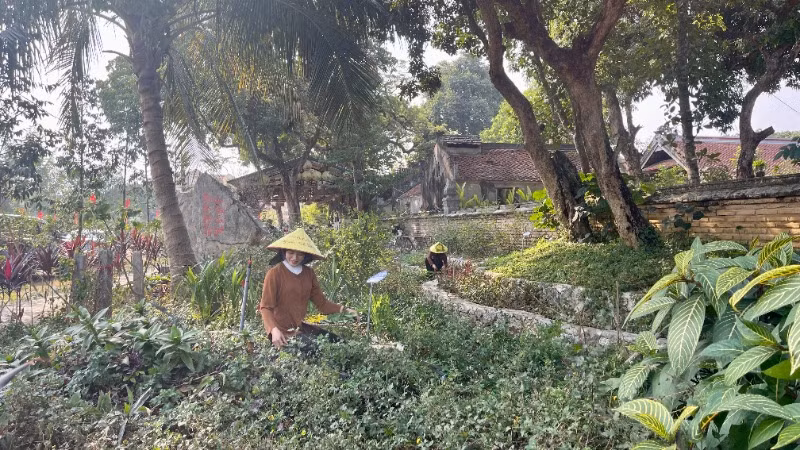"Vườn thuốc đời người Đền Thánh Nguyễn" với hơn 100 loại cây thuốc quý, nhằm bảo tồn phát triển dược liệu bán sơn địa gắn với du lịch trải nghiệm trên địa bàn huyện Gia Viễn.