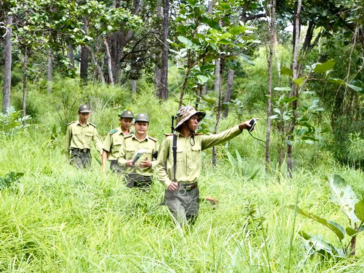 Tăng cường công tác quản lý, bảo vệ rừng. Tăng cường công tác quản lý, bảo vệ rừng.