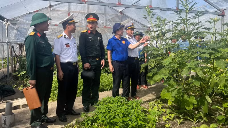 Đồng chí Huỳnh Thành Đạt tham quan vườn rau xanh trên đảo Sinh Tồn. Đồng chí Huỳnh Thành Đạt tham quan vườn rau xanh trên đảo Sinh Tồn.