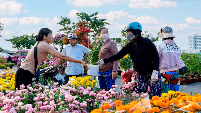 Chợ hoa Xuân Bình Điền sẽ là không gian lưu giữ các giá trị văn hóa truyền thống. Ảnh: SATRA Chợ hoa Xuân Bình Điền sẽ là không gian lưu giữ các giá trị văn hóa truyền thống. Ảnh: SATRA