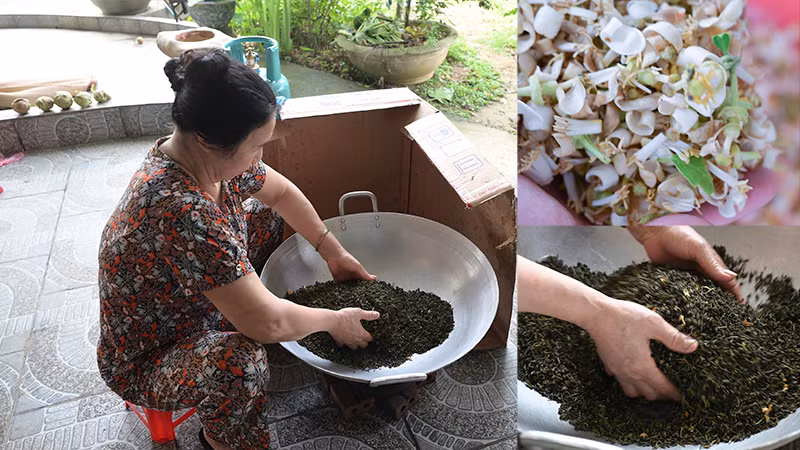 Mùa hoa bung nở cũng là lúc người dân tranh thủ ướp trà hoa bưởi để đãi khách.