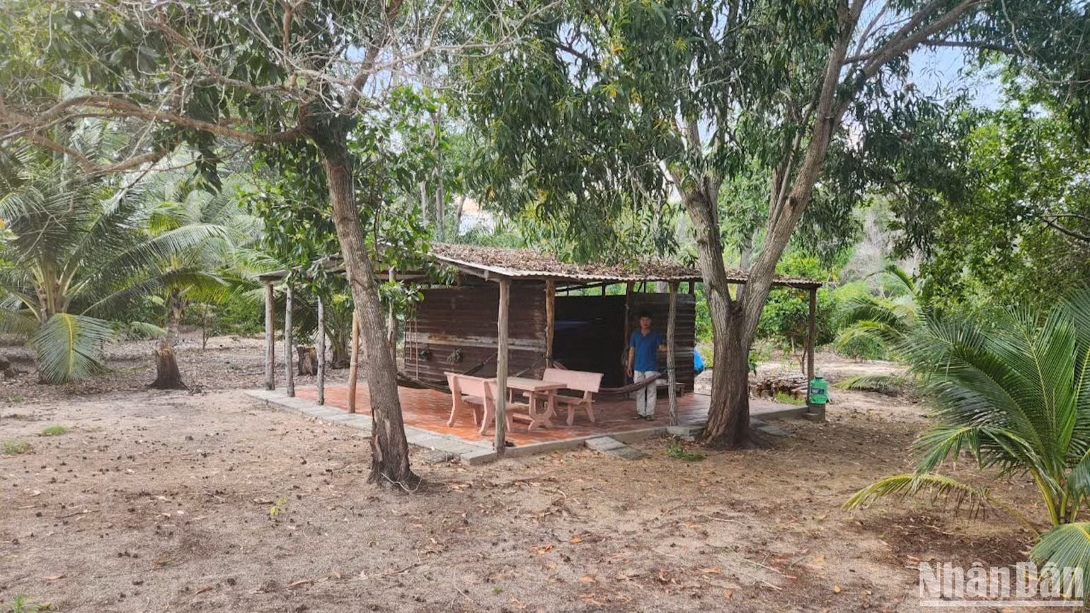 Ông Đặng Thành Lập (địa chỉ khu phố Suối Nước, phường Mũi Né) đang khai hoang diện tích 13,313,3m2.