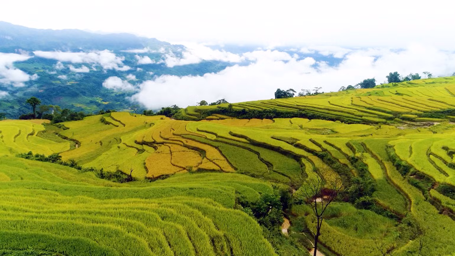 Ruộng bậc thang ở xã Hồng Thái, huyện Na Hang là điểm thu hút khách du lịch. Ruộng bậc thang ở xã Hồng Thái, huyện Na Hang là điểm thu hút khách du lịch.