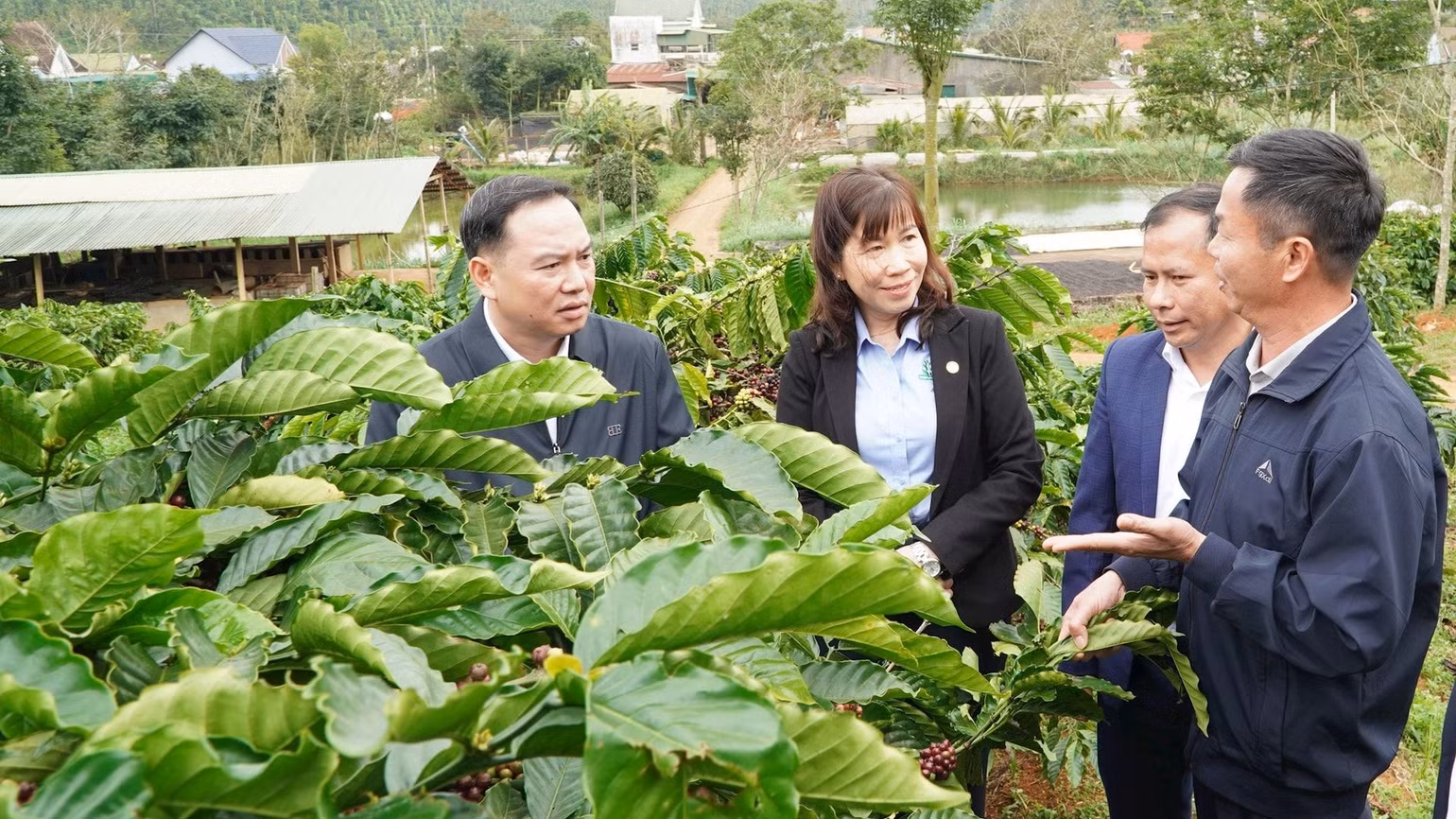 Mô hình tiêu-cà phê là thế mạnh của huyện Đắk Song. Mô hình tiêu-cà phê là thế mạnh của huyện Đắk Song.