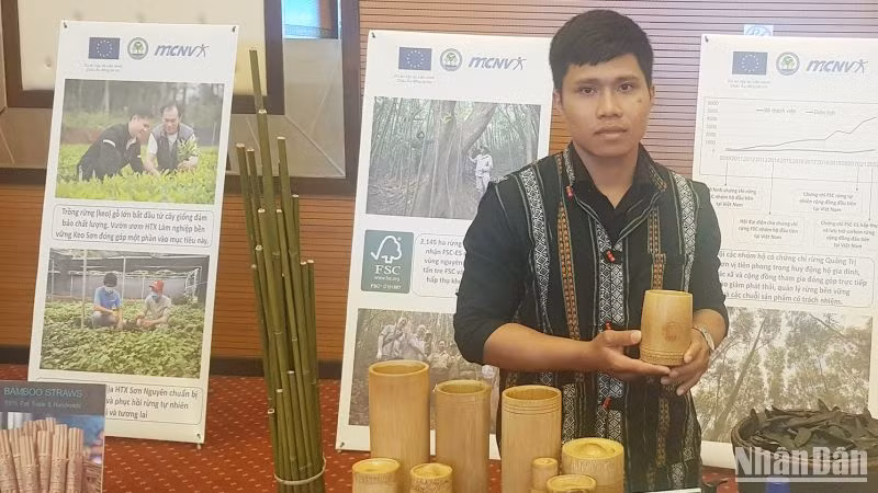 Tre nguyên liệu, một loại lâm sản ngoài gỗ được người dân tộc Vân Kiều trong vùng dự án làm thành sản phẩm thương mại. Tre nguyên liệu, một loại lâm sản ngoài gỗ được người dân tộc Vân Kiều trong vùng dự án làm thành sản phẩm thương mại.