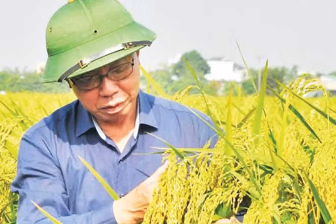Anh hùng Lao động Trần Mạnh Báo là Chủ nhiệm 18 đề tài khoa học, trong đó có đề tài cấp Nhà nước.