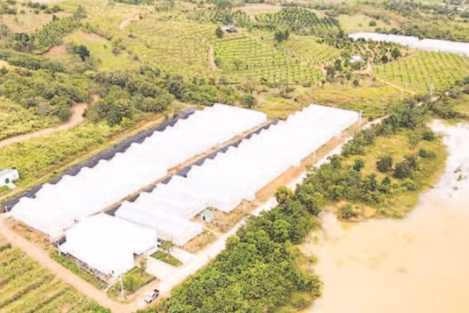 Một góc nông trại Chapor Farm, tại thôn Ma Ty, xã Bác Ái Tây, tỉnh Khánh Hòa.